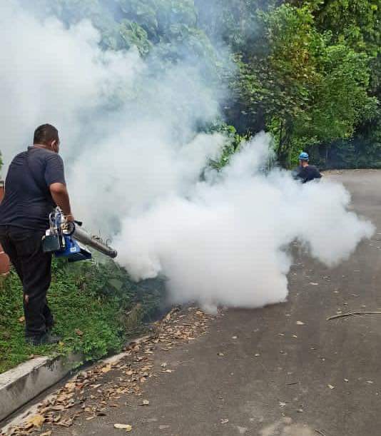 Combatiendo el zancudo transmisor del dengue